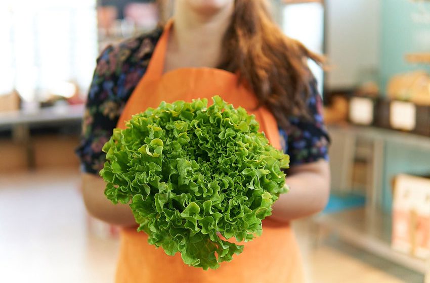  Cambio climático y una alimentación sostenible